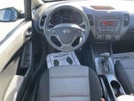 2016 Forte5 Thumbnail 12