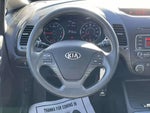 2016 Forte5 Thumbnail 13
