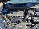 2010 Forte Thumbnail 23