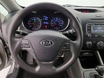 2016 Forte Thumbnail 10