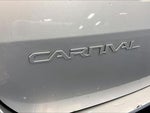 2023 Carnival Thumbnail 23
