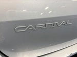 2023 Carnival Thumbnail 23