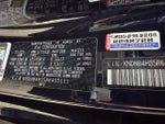 2024 Carnival Thumbnail 31