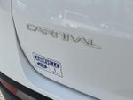 2023 Carnival Thumbnail 10