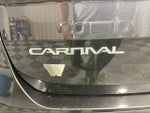 2023 Carnival Thumbnail 23