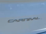 2024 Carnival Thumbnail 25