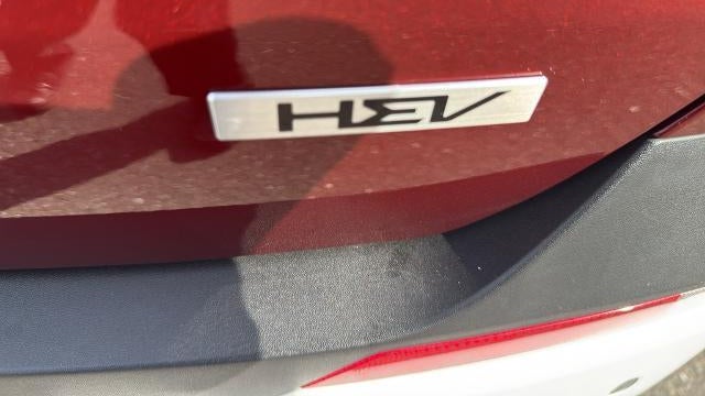 2025 Kia Carnival Hybrid EX