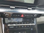 2022 Carnival Thumbnail 18