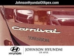 2022 Carnival Thumbnail 28