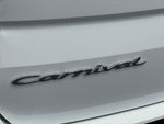 2022 Carnival Thumbnail 27