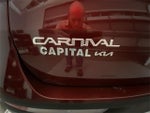 2024 Carnival Thumbnail 28