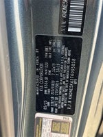 2026 Carnival Hybrid Thumbnail 19