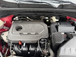 2021 Sportage Thumbnail 20