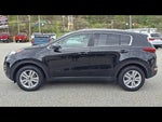 2019 Sportage Thumbnail 4