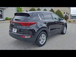 2019 Sportage Thumbnail 7