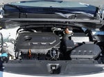 2019 Sportage Thumbnail 14