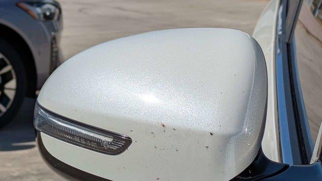 2021 Kia Sportage EX