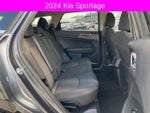 2024 Sportage Thumbnail 14