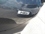 2023 Sportage Hybrid Thumbnail 9