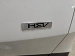 2023 Sportage Hybrid Thumbnail 37