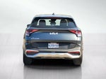2024 Sportage Thumbnail 5