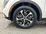 2023 Sportage Hybrid Thumbnail 12