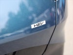 2024 Sportage Hybrid Thumbnail 10