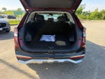 2025 Sportage Hybrid Thumbnail 5
