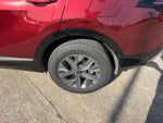 2025 Sportage Hybrid Thumbnail 7