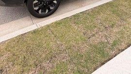 2023 Kia Sportage Plug-In Hybrid X-Line Prestige