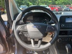 2018 EcoSport Thumbnail 13