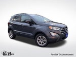 2019 EcoSport Thumbnail 1