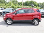 2019 EcoSport Thumbnail 4