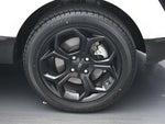 2021 EcoSport Thumbnail 24