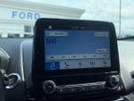 2019 EcoSport Thumbnail 39