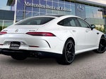 2022 AMG GT Thumbnail 10