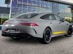 2024 AMG GT Thumbnail 10