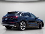 2022 e-tron Thumbnail 19