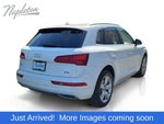 2019 Q5 Thumbnail 5