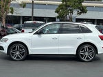 2017 Q5 Thumbnail 10