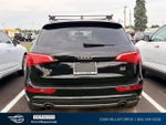 2010 Q5 Thumbnail 2