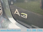 2009 A3 Thumbnail 10