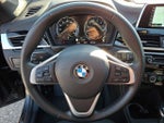2019 X1 Thumbnail 20