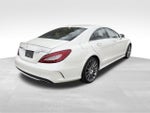 2016 CLS Thumbnail 8