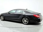2015 CLS Thumbnail 7