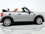 2022 Convertible Thumbnail 4