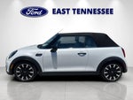 2023 Convertible Thumbnail 6