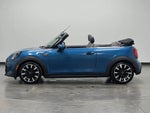 2023 Convertible Thumbnail 4