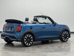 2023 Convertible Thumbnail 7