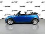 2024 Convertible Thumbnail 8